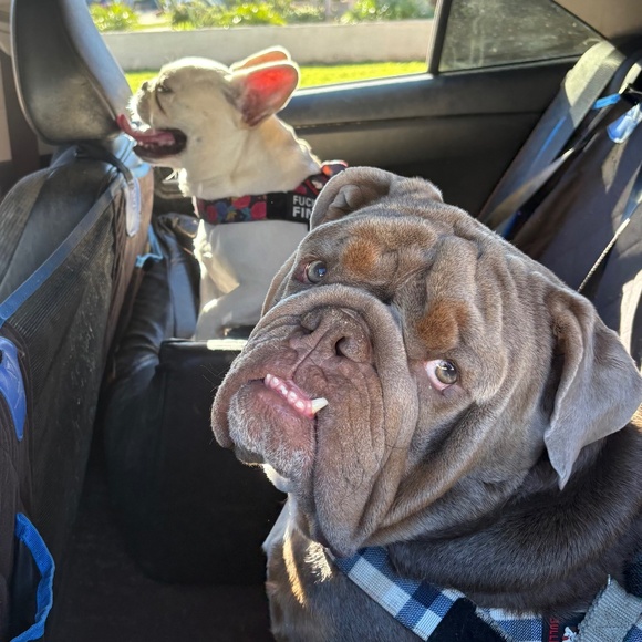 Meet your Posher, Kathy - Picture 1 of 1